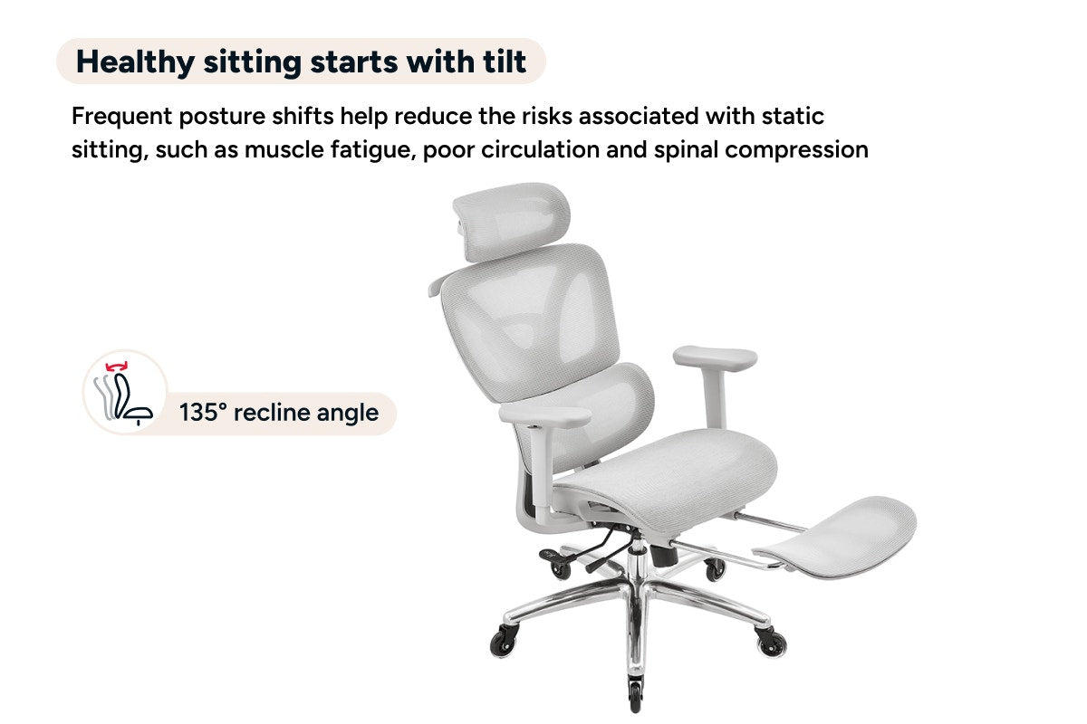 Ergolux Pro Ergonomic Mesh Office Chair with Footrest (Grey)