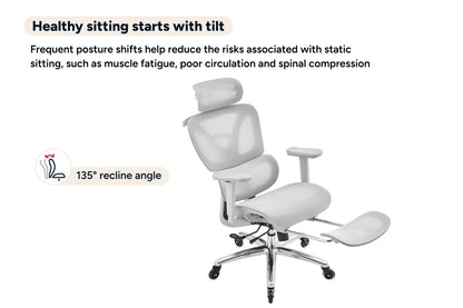Ergolux Pro Ergonomic Mesh Office Chair with Footrest (Grey)