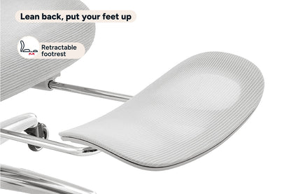 Ergolux Pro Ergonomic Mesh Office Chair with Footrest (Grey)