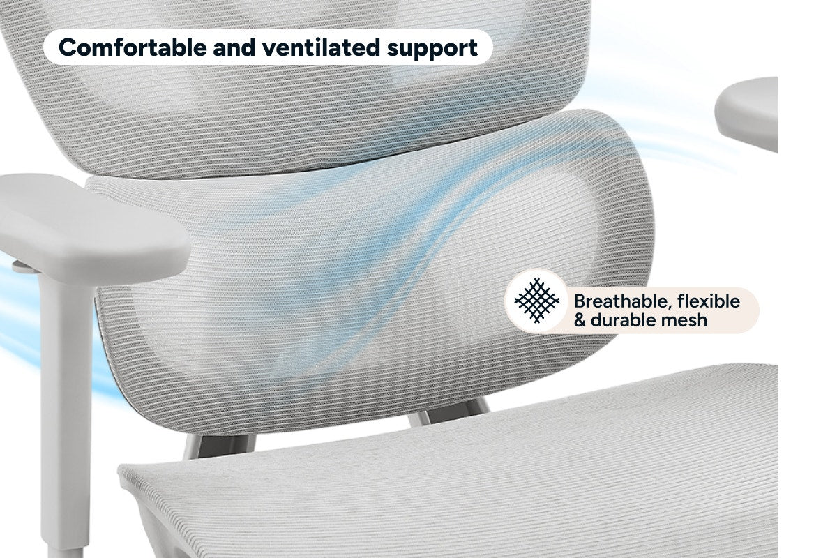 Ergolux Pro Ergonomic Mesh Office Chair with Footrest (Grey)