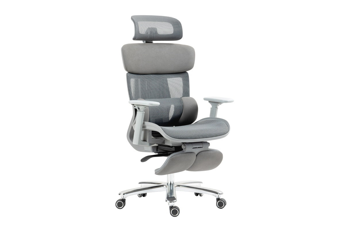 Ergolux Pro Max Ergonomic Office Chair with Footrest (Grey)