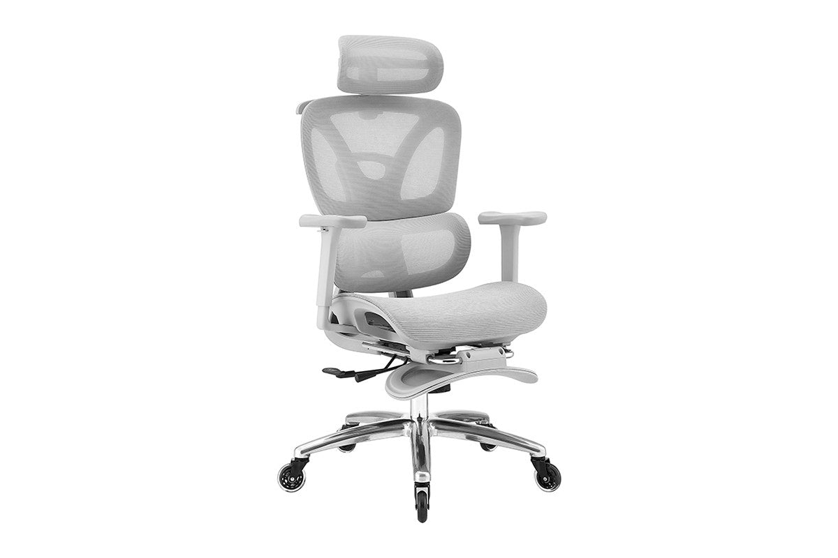 Ergolux Pro Ergonomic Mesh Office Chair with Footrest (Grey)