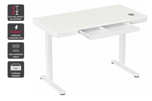 Ergolux Electric Standing Desk with Drawer 120 x 60cm (White/White)