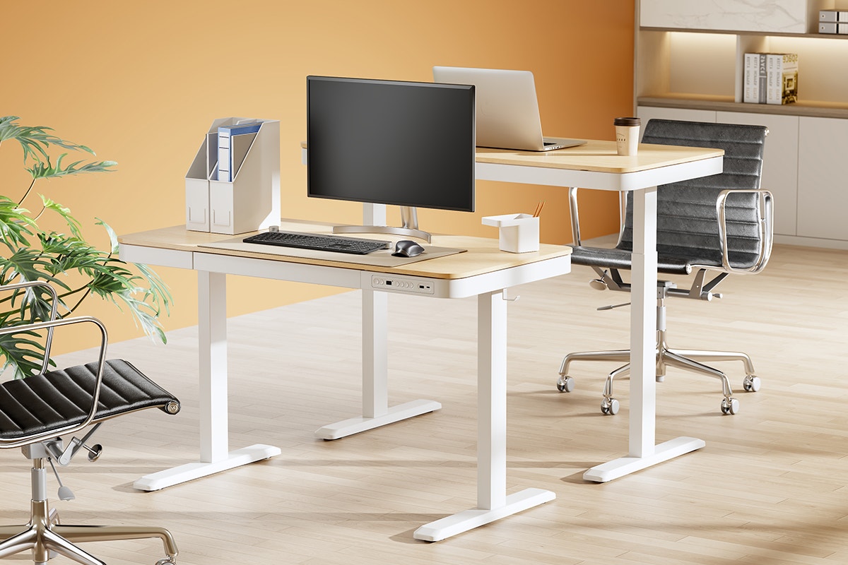 Ergolux Sorrento Electric Standing Desk with Wireless Charging 120 x 60cm (Ash/White)