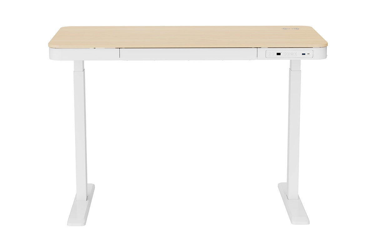 Ergolux Sorrento Electric Standing Desk with Wireless Charging 120 x 60cm (Ash/White)