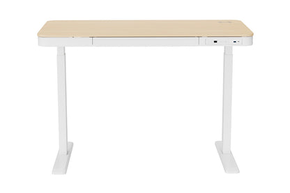 Ergolux Sorrento Electric Standing Desk with Wireless Charging 120 x 60cm (Ash/White)