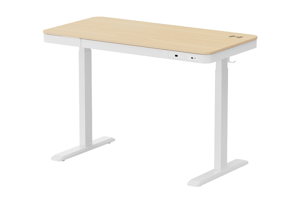 Ergolux Sorrento Electric Standing Desk with Wireless Charging 120 x 60cm (Ash/White)
