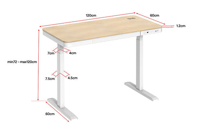 Ergolux Sorrento Electric Standing Desk with Wireless Charging 120 x 60cm (Ash/White)