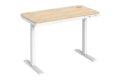 Ergolux Sorrento Electric Standing Desk with Wireless Charging 120 x 60cm - Ash/White