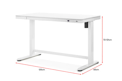 Ergolux Sorrento Electric Standing Desk Wood White