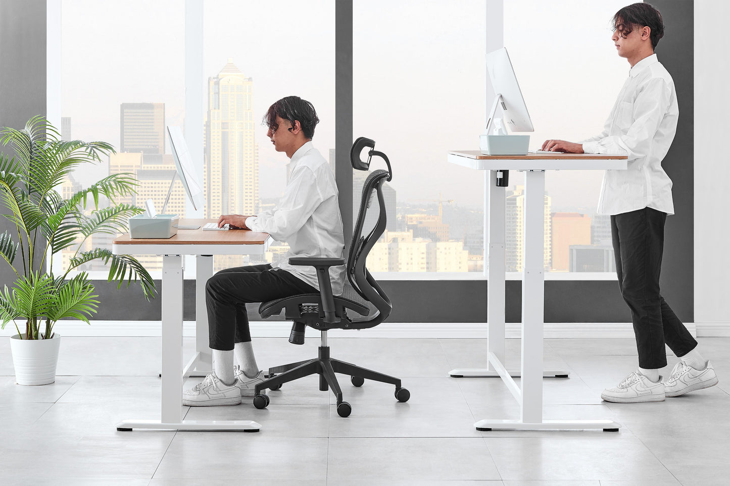 Ergolux Sorrento Electric Standing Desk (White/Natural/Wood)