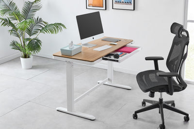 Ergolux Sorrento Electric Standing Desk Wood