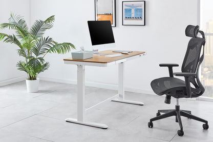 Ergolux Sorrento Electric Standing Desk (White/Natural/Wood)