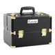 Embellir Portable Cosmetic Beauty Makeup Case - Black & Gold | Auzzi Store