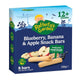 Raffertys Garden 12+ Months Fruit Snack Blueberry Banana & Apple 128g - Auzzistore