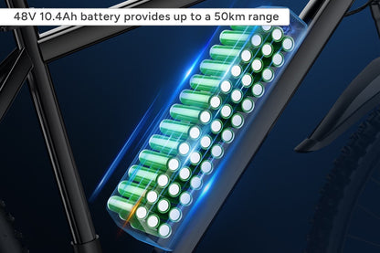 Fortis FatBaby 48V 10.4Ah Fat Tyre Electric Bike