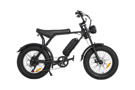 Fortis FatBro 48V 10.4Ah Fat Tyre Electric Bike