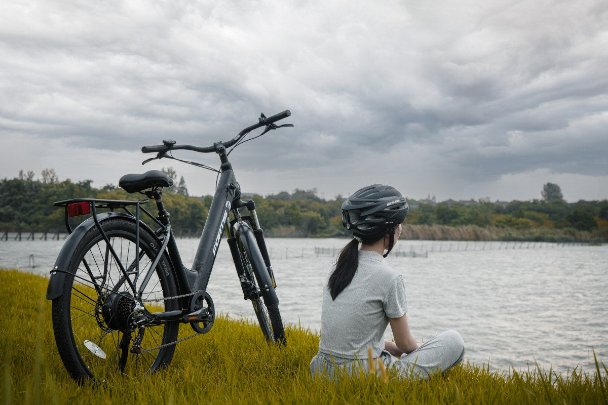 Fortis 36V 10.4Ah Step-Through Shimano Commuter Electric Bike