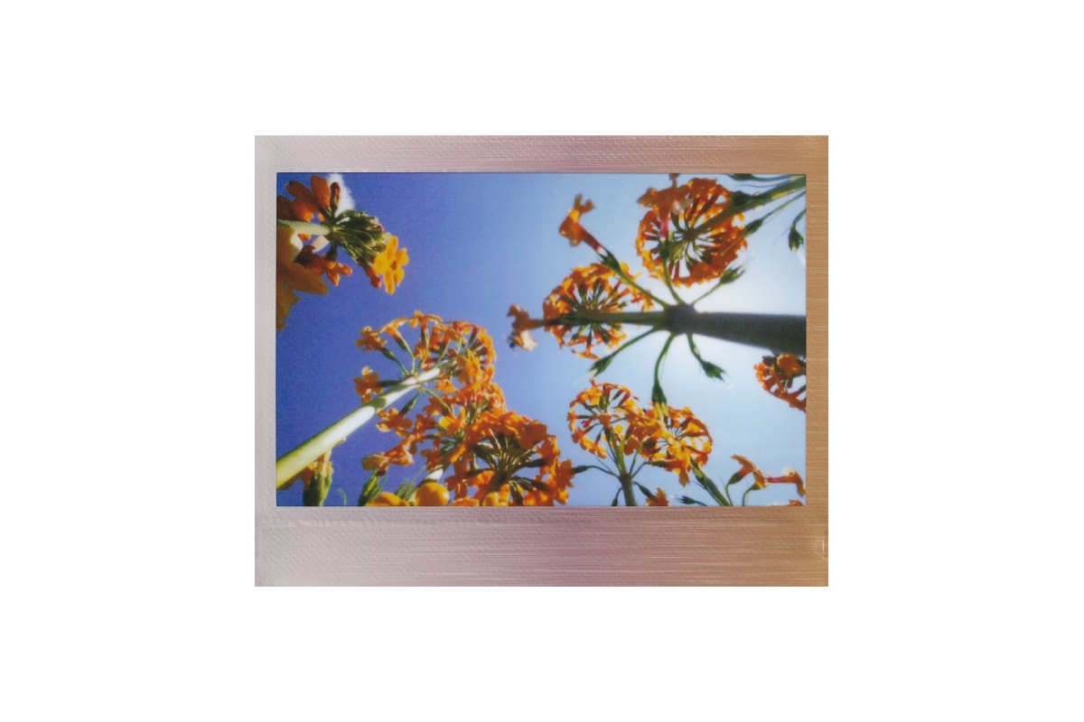 Fujifilm Wide Brushed Metallics Film (10 Pack)