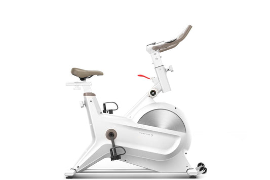 Fortis Magnetic Flywheel Spin Bikes | Auzzi Store