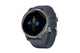 Garmin Venu 2 (Blue Granite/Passivated)