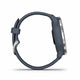 Garmin Venu 2 (Blue Granite/Passivated)