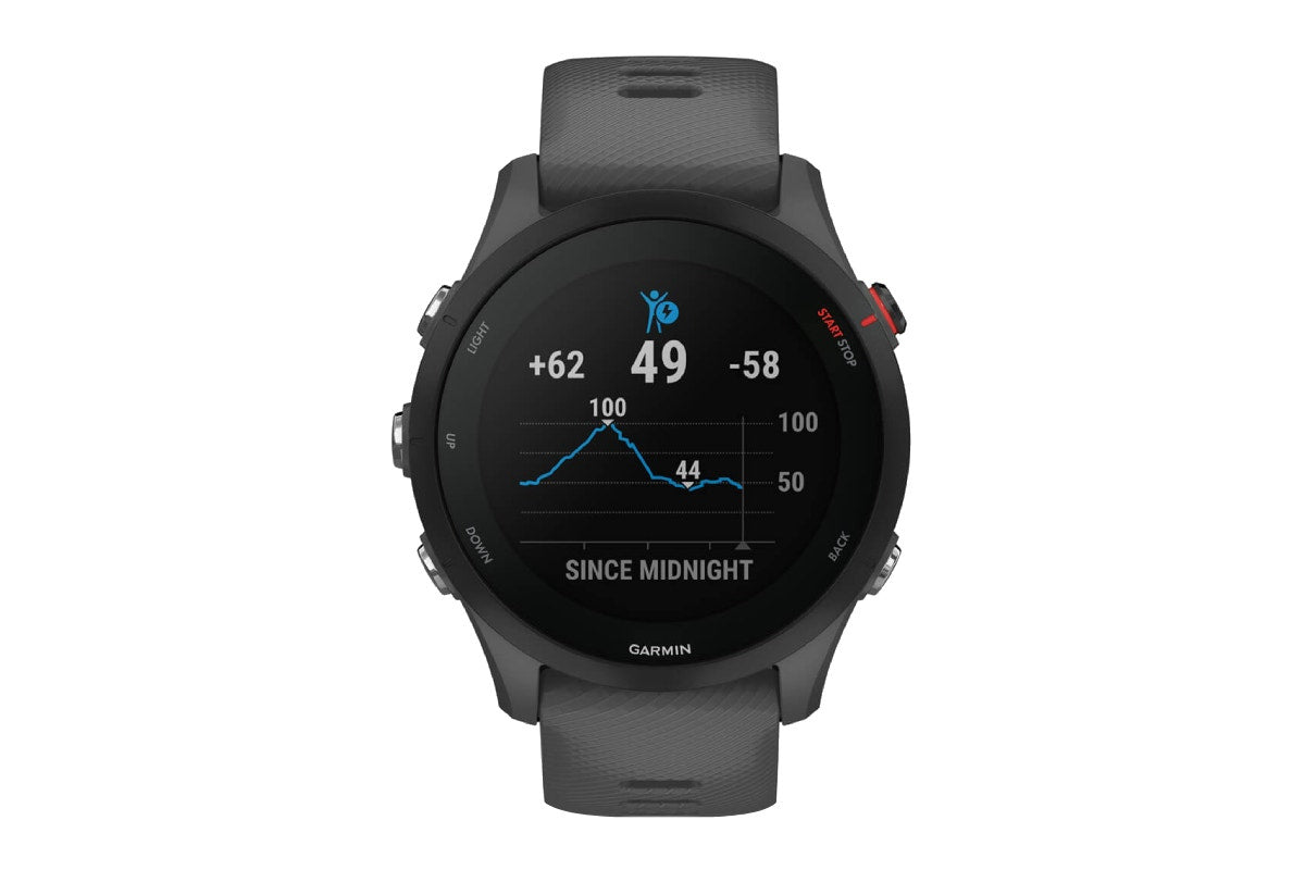 Garmin Forerunner 255 Smart Sports Watch (Slate Grey, 46mm)