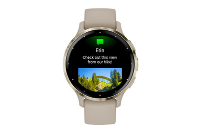 Garmin Venu 3S Smart Sports Watch (41mm) French Grey/Soft Gold