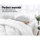 Giselle Bedding King Size 400GSM Microfibre Bamboo Microfiber Quilt | Auzzi Store
