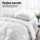 Giselle Bedding Queen Size 500GSM Goose Down Feather Quilt | Auzzi Store
