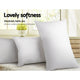 Giselle Bedding Set of 2 Duck Down Pillow - White | Auzzi Store