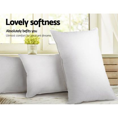 Giselle Bedding Set of 2 Goose Feather and Down Pillow - White | Auzzi Store