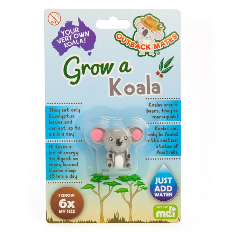 Grow A Koala | Auzzi Store