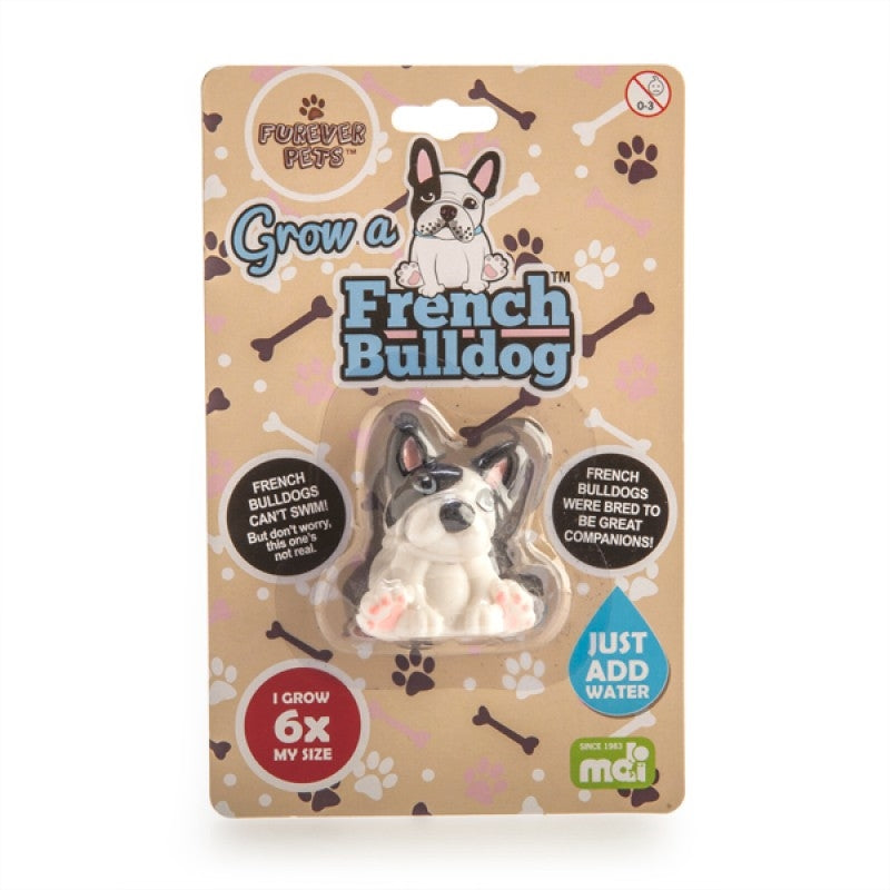 Grow French Bulldog | Auzzi Store