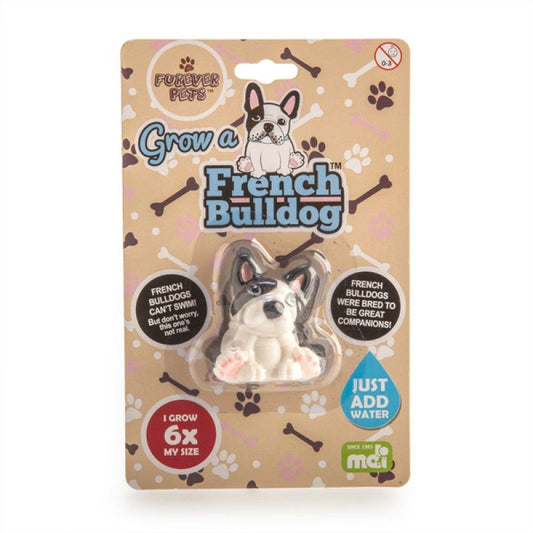 Grow French Bulldog | Auzzi Store