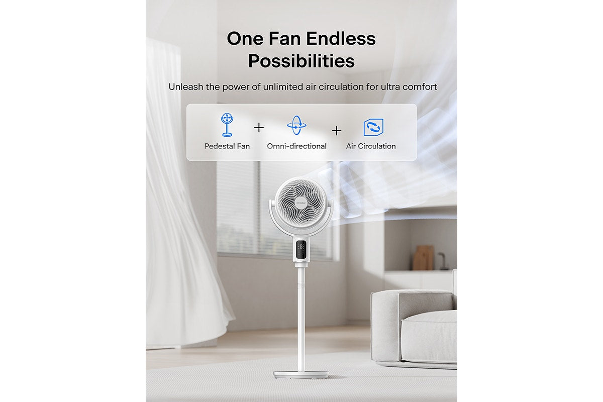 Hyundai DC Pedestal Circulation Fan
