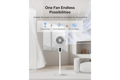 Hyundai DC Pedestal Circulation Fan