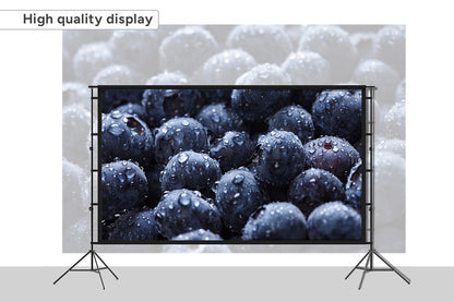 Kogan 100'' Double Tripod Projector Screen with Stand