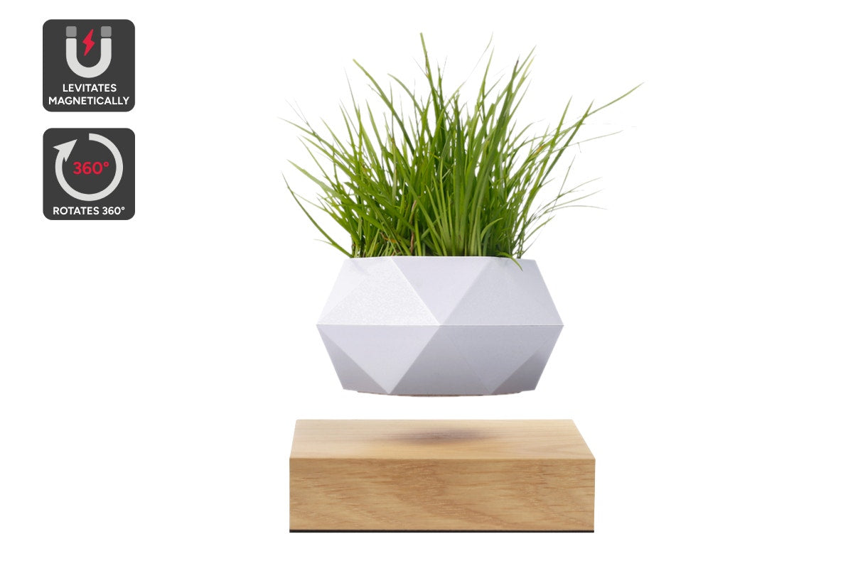 Kogan Magnetic Levitating Rotating Plant Pot