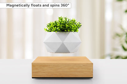 Kogan Magnetic Levitating Rotating Plant Pot