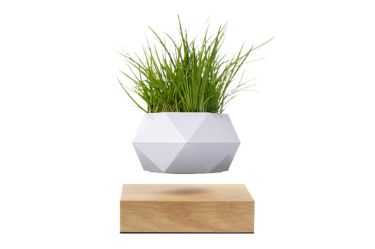 Kogan Magnetic Levitating Rotating Plant Pot