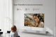 Wanbo 100" Fresnel ALR Projector Screen – view 8