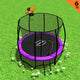 Kahuna Classic 6ft Trampoline Free Ladder Spring Mat Net Safety Pad Cover Round Enclosure Basketball Set - Purple | Auzzi Store