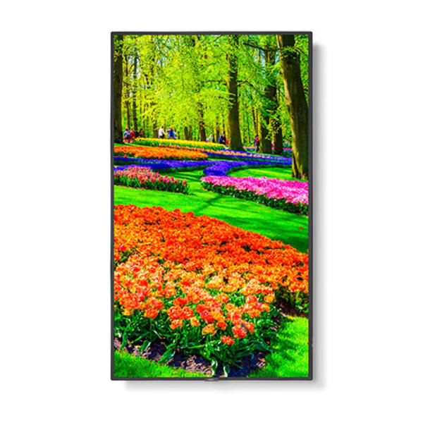 NEC M431 43" 4K Ultra High Definition Commercial Display / 3840x2160 / 500 cd/m2 /24/8