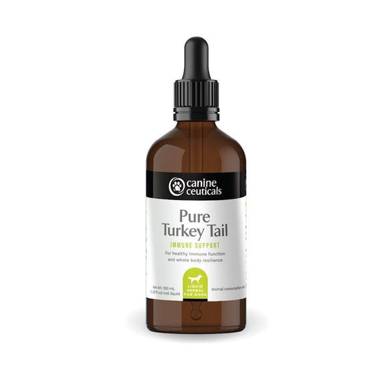 CanineCeuticals Pure Turkey Tail 100ml - Immune Function Support for Pets-Auzzi Store