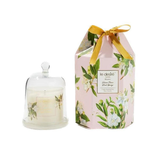 Le Desire Volcano Flower Blood Orange - Invigorating Blooms Soy Candle with Glass Cloche 120g - Auzzistore