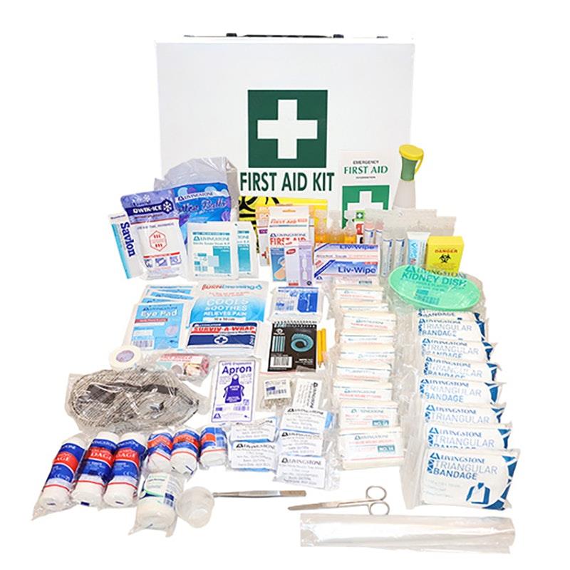 Livingstone Industrial First Aid Kit - National Wall Mountable Metal Case