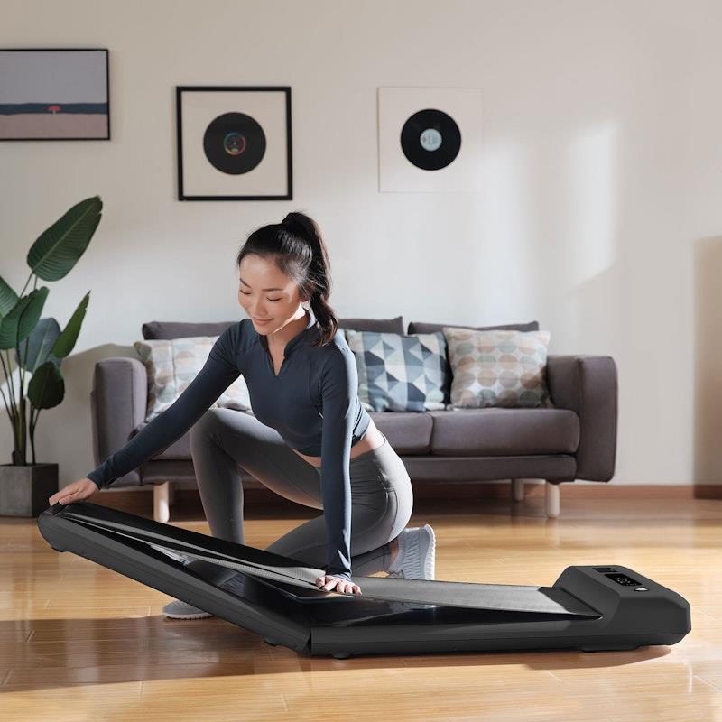 Lifespan Fitness WalkingPad™ M2 Treadmill - Compact Home Fitness
