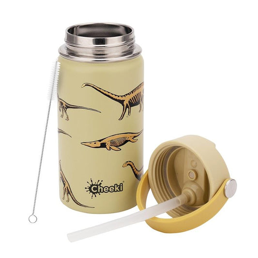 Cheeki 400ml Insulated Little Adventurer Bottle - Dinosaur-Auzzi Store