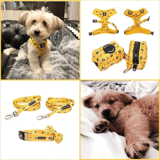 Soapy Moose Large Dog Accessory Pack - Adjustable Neoprene Harness